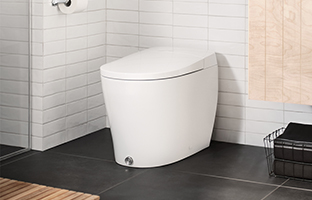 「摩力盾」黑科技，緩解如廁的種種尷尬